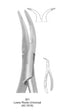 Dental Tooth Extraction Forceps European Type 301 Lower Roots Universal image 0