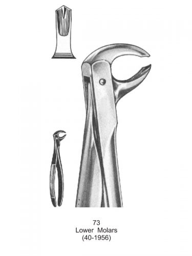 Dental Tooth Extraction Forceps European Type 73 Lower Molars image 0