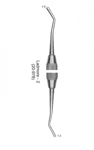 Burnisher Ladmore-2 With French Tip image 0