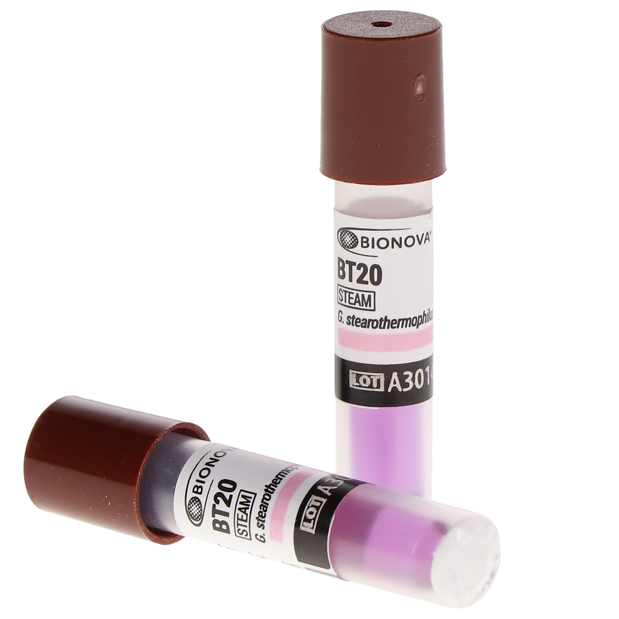 Biological Indicators 24hr 100/Box, BT20/6 image 1