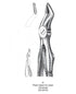 Dental Pedodontic Extraction Forceps European Type H Pedo Upper & Lower Universal image 0