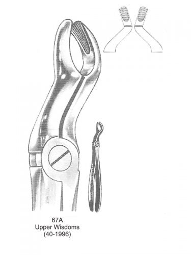 Dental Tooth Extraction Forceps European Type 67A Upper Wisdoms image 0