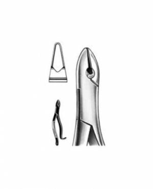 Dental Extraction Forceps American Type 99A Upper Incisors, Canines & Premolars