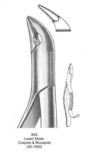 Dental Tooth Extraction Forceps American Type 85A Lower Molar, Cuspids &amp; Bicuspids image 0