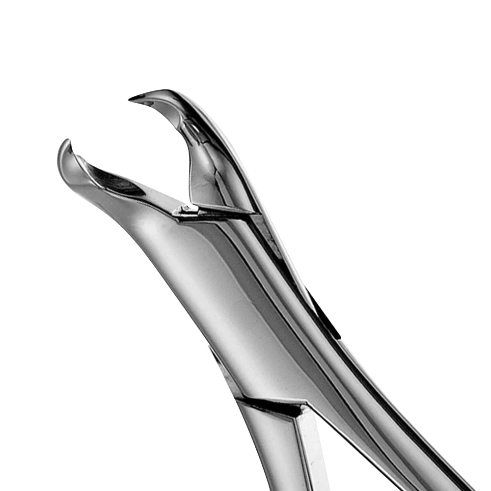 Dental Extraction Forceps American Type 3FS Lower Molars, Woodward