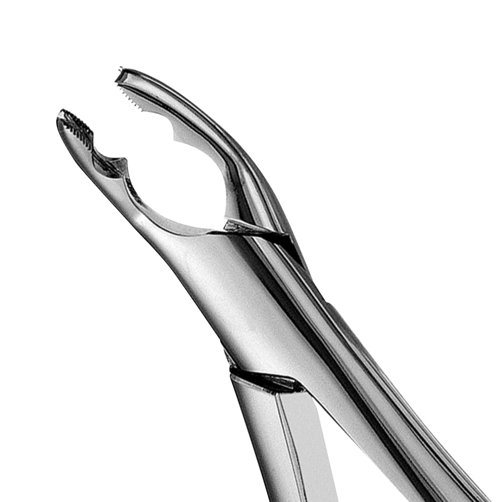 Dental Extraction Forceps American Type 150 XAS Upper Incisors, Canines &amp; Premolars