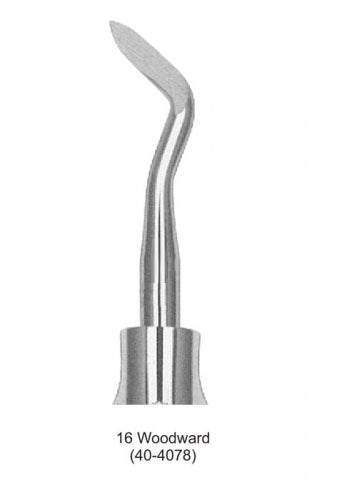 Dental Root Elevator 16 Woodward image 0