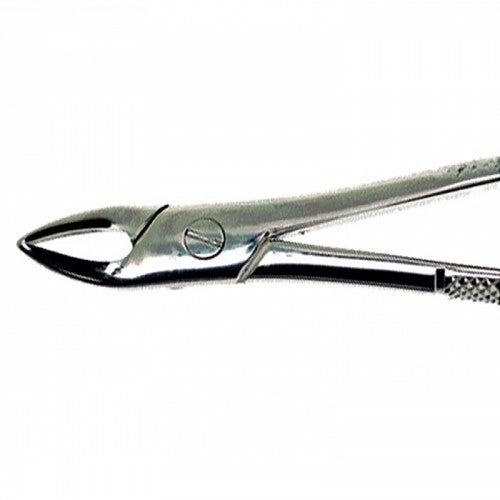 Dental Extraction Forceps European Type 76 Upper Roots