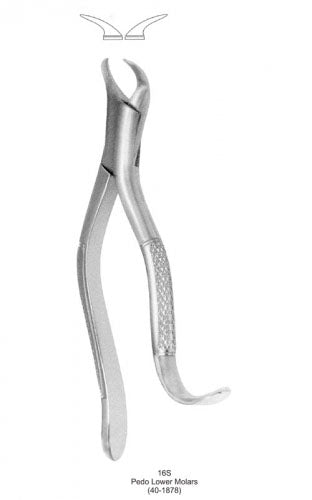 Dental Pedodontic Extraction Forceps Amarican Type 16S Pedo Lower Molars image 0