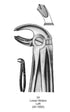 Dental Tooth Extraction Forceps European Type 24 Lower Molars Left image 0