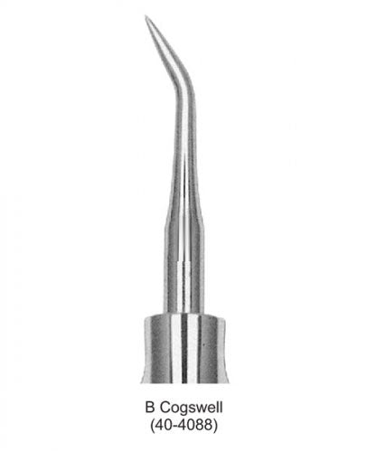 Dental Root Elevator B Cogswell image 0