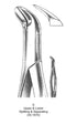 Dental Tooth Extraction Forceps American Type 6 Upper &amp; Lower Splitting &amp; Separating image 0