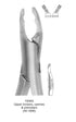 Dental Tooth Extraction Forceps American Type 150 XAS Upper Incisors, Canines &amp; Premolars image 0