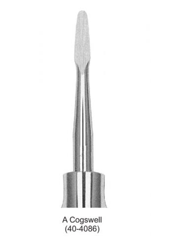 Dental Root Elevator A Cogswell image 0