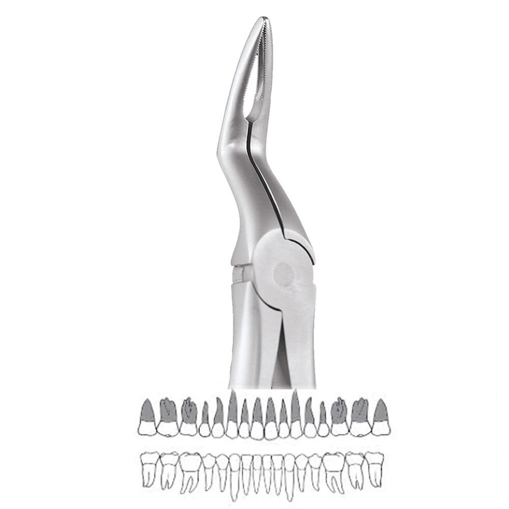 Dental Extraction Forceps European Type 51L Upper Roots