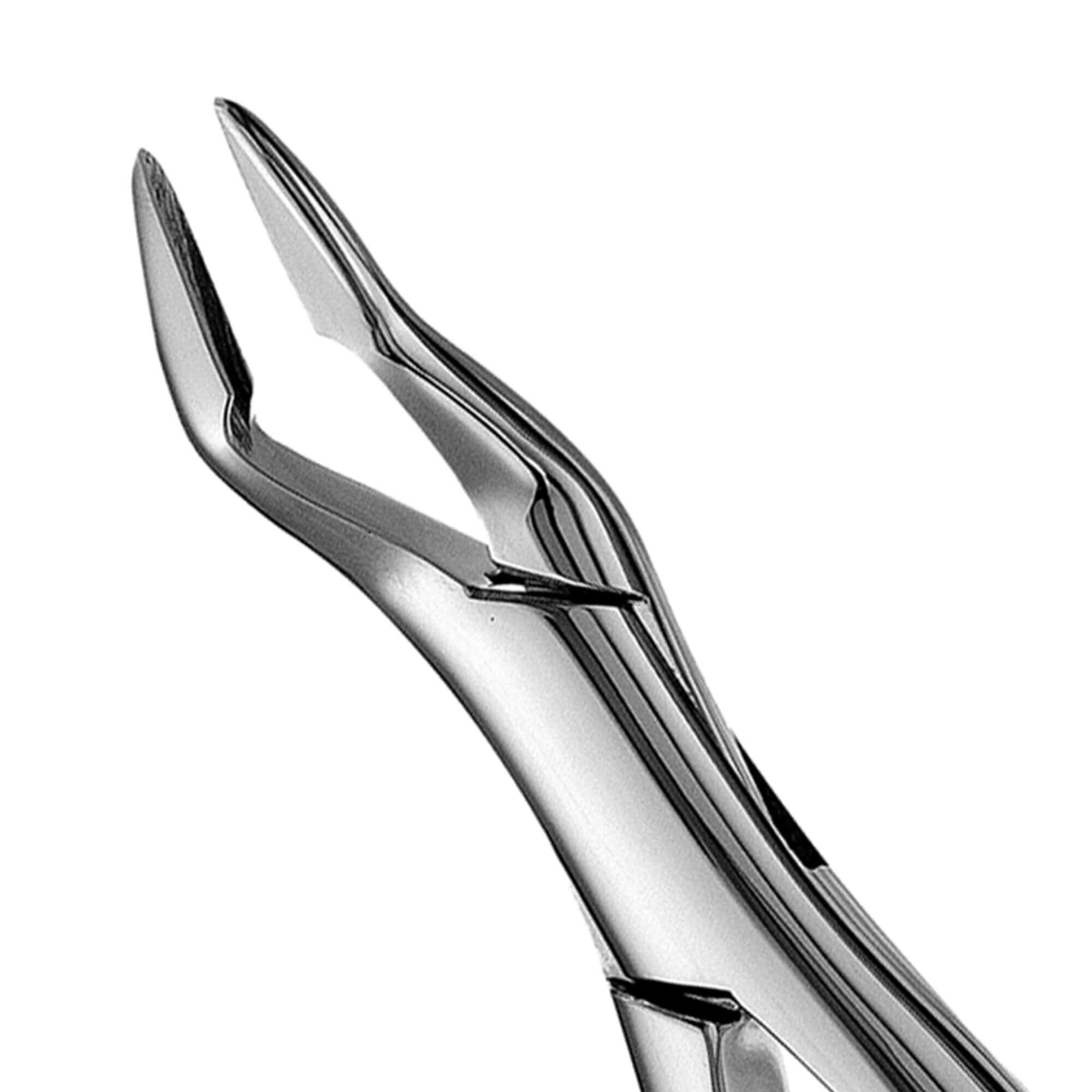Dental Extraction Forceps American Type 32A  Upper Cuspids, Bicusbids and Molars, Universal