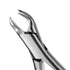 Dental Extraction Forceps European Type 89 Lower Molars Right
