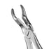 Dental Extraction Forceps European Type 67A Upper Wisdoms