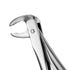 Dental Extraction Forceps European Type 73 Lower Molars