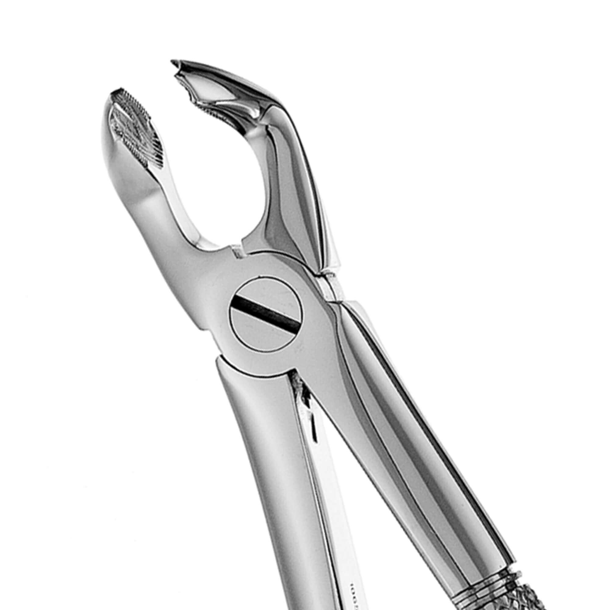 Dental Extraction Forceps European Type 79 Lower Wisdoms