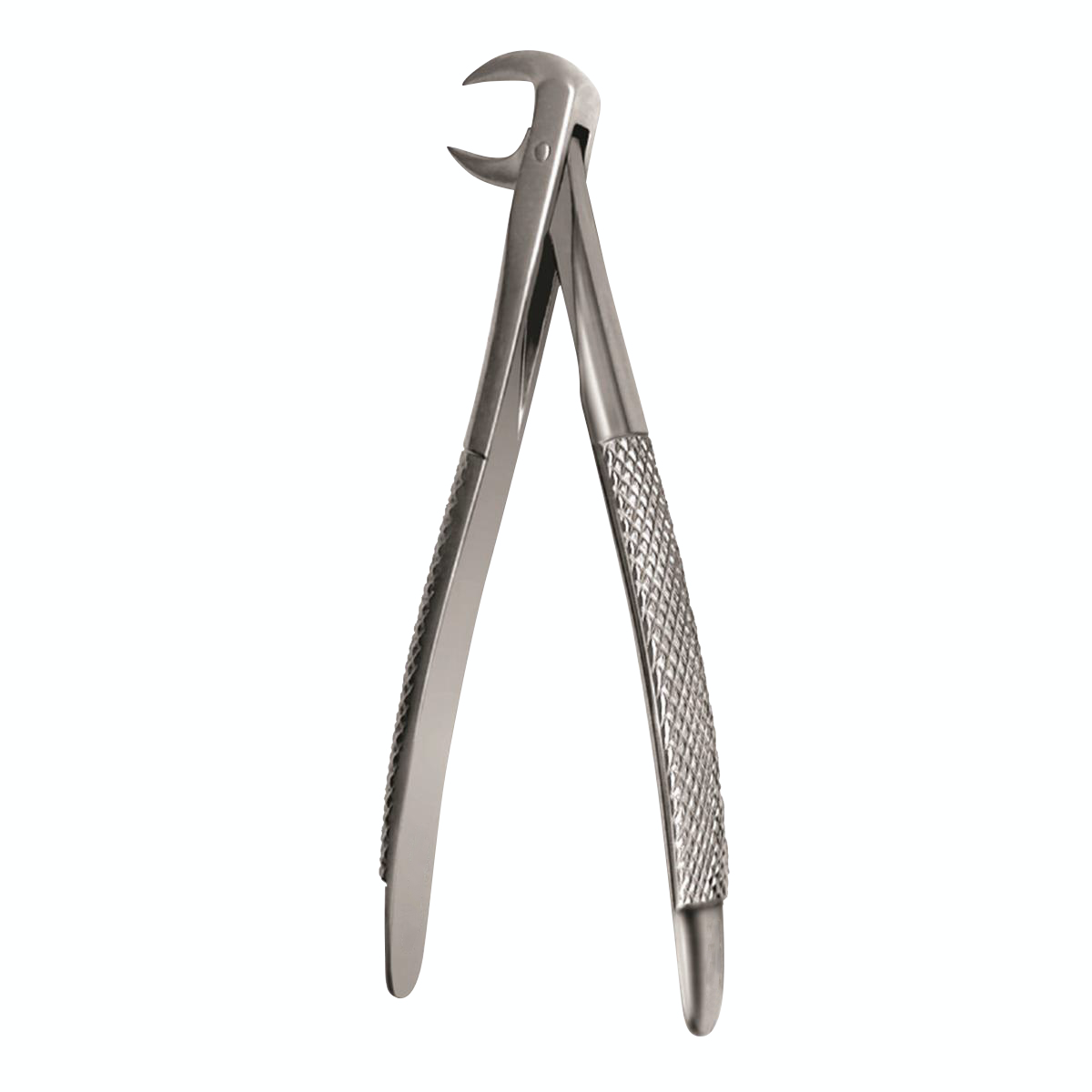 Dental Extraction Forceps European Type 86A Lower Molars