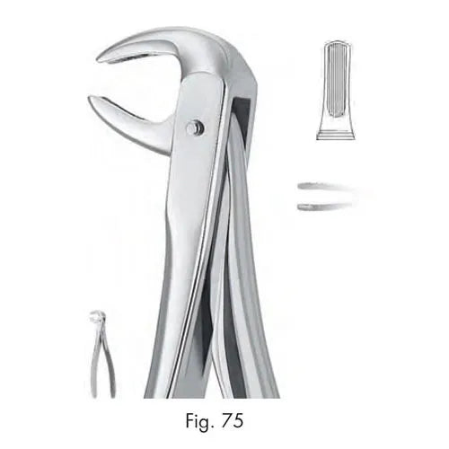 Dental Extraction Forceps European Type 75 Lower Premolars