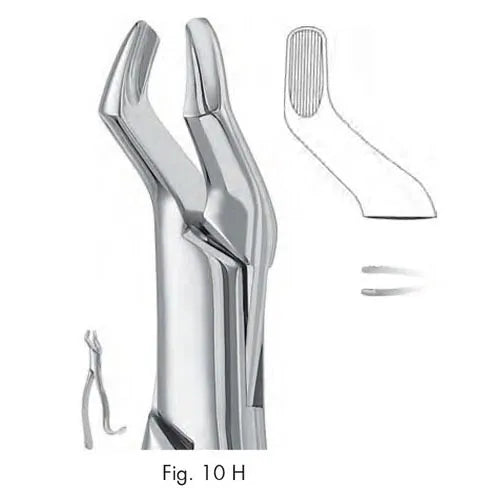 Dental Extraction Forceps American Type 10H Upper Molars. Universal