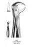 Dental Tooth Extraction Forceps European Type 86C Lower Molars image 0