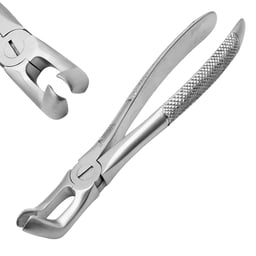 Dental Extraction Forceps European Type 79A Lower Wisdoms