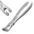 Dental Extraction Forceps European Type 79A Lower Wisdoms