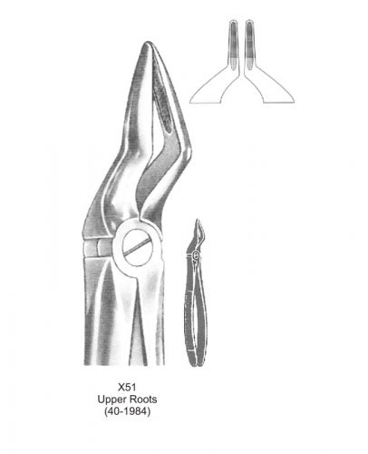 Dental Tooth Extraction Forceps European Type X51 Upper Roots image 0