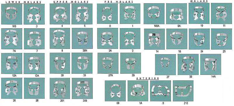 Molar Rubber dam clamps
