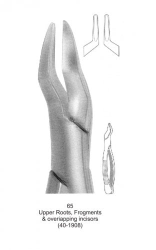 Dental Tooth Extraction Forceps European Type 65 Upper Roots, Frogments &amp; Overiapping Incisors image 0