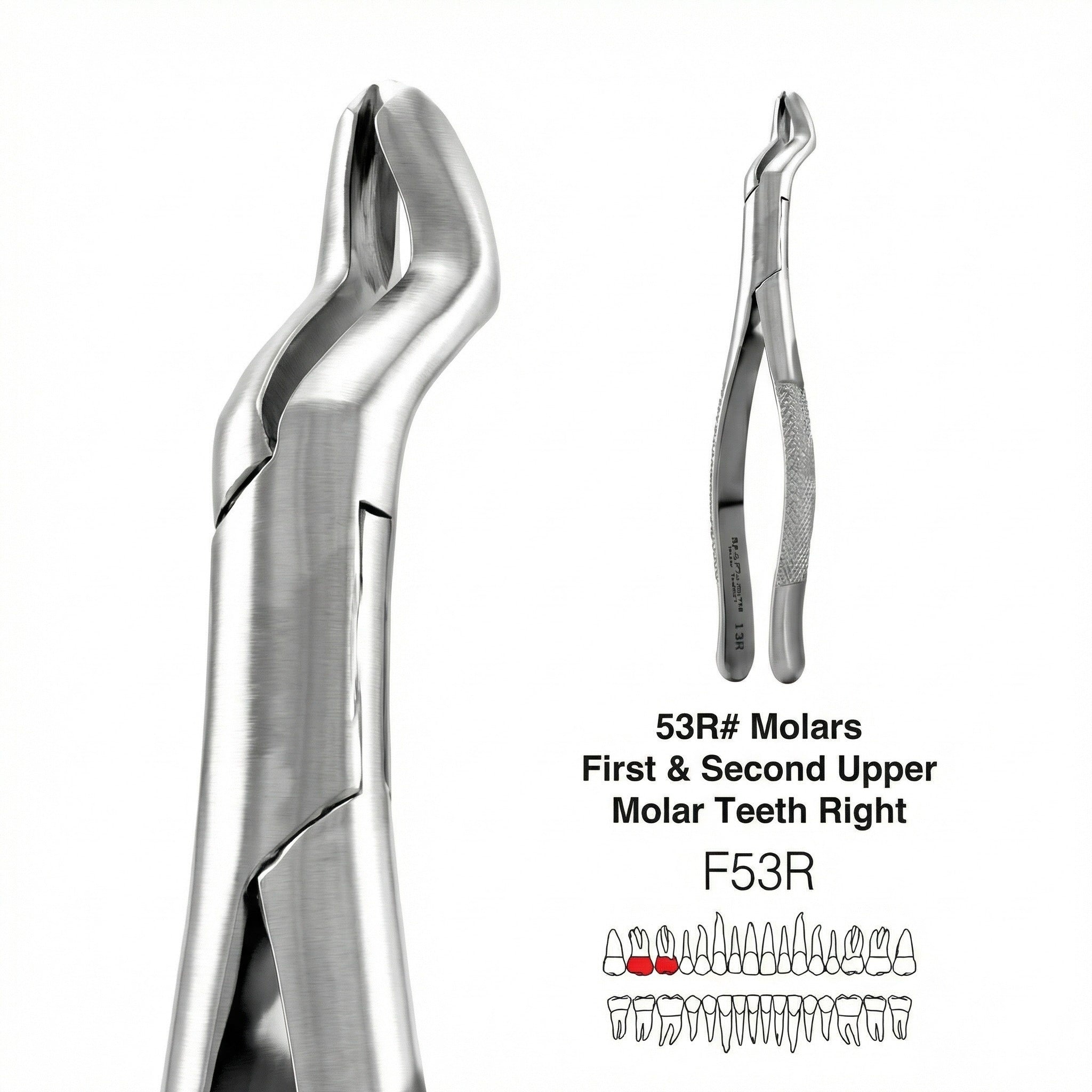 Dental Extraction Forceps American Type 53R Navius 1st &amp; 2nd Upper Molars, Right