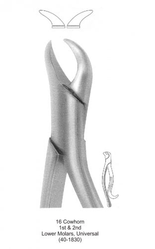 Dental Tooth Extraction Forceps American Type 16 Cowhorn 1st &amp; 2nd Lower Molars, Universal image 0