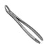 Dental Extraction Forceps American Type 32 Upper Cuspids, Bicusbids and Molars, Universal