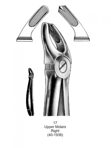 Dental Tooth Extraction Forceps European Type 17 Upper Molars Right image 0