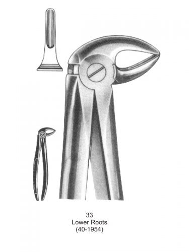 Dental Tooth Extraction Forceps European Type 33 Lower Roots image 0