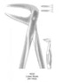 Dental Tooth Extraction Forceps European Type X233 Lower Roots image 0