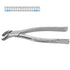 Dental Extraction Forceps American Type 17 1st &amp; 2nd Lower Molars, Universal