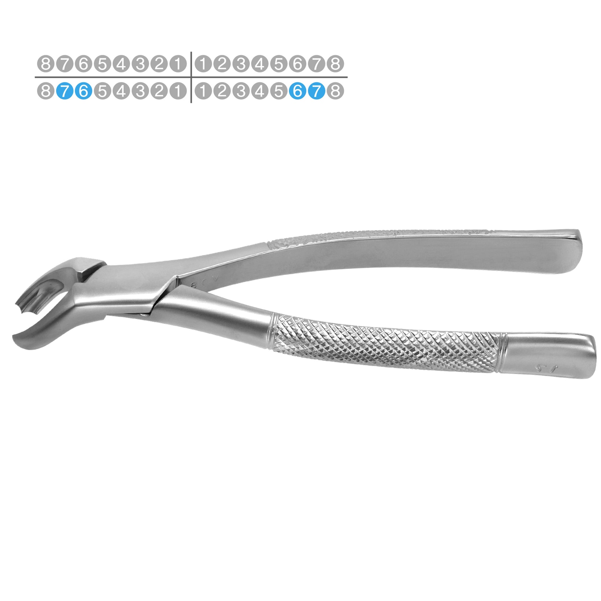 Dental Extraction Forceps American Type 17 1st &amp; 2nd Lower Molars, Universal